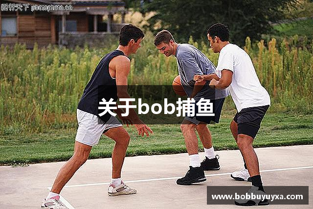 关于bob捕鱼